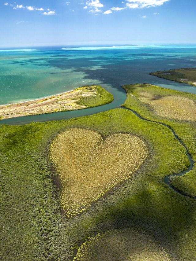 Heart of Voh